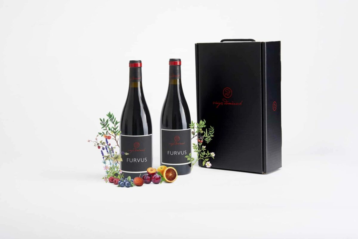 CASE TWO BOTTLES