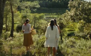 EL CAMÍ DE LES AROMES, LA VEU SILENCIADA DELS VINS