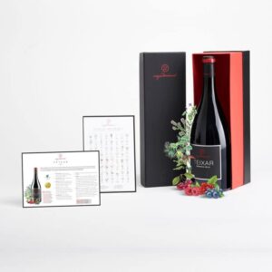 VAL REGAL TEIXAR EXPERIENCE