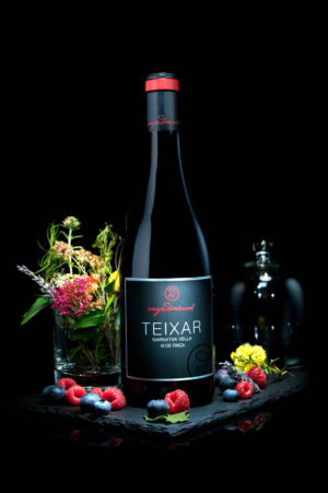 TEIXAR EXPERIENCE